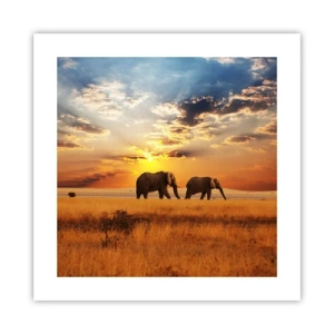 Poster - Passeggiata familiare - 40x40 cm