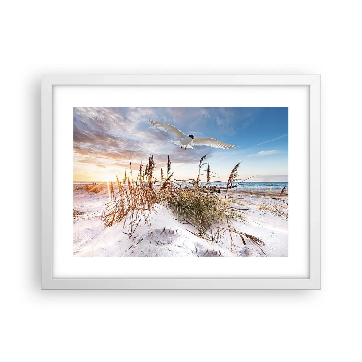 Poster in cornice bianca - Vento dal mare - 40x30 cm
