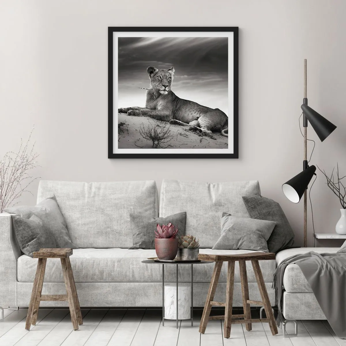 Poster in cornice nera - Il riposo della regina del deserto - 60x60 cm