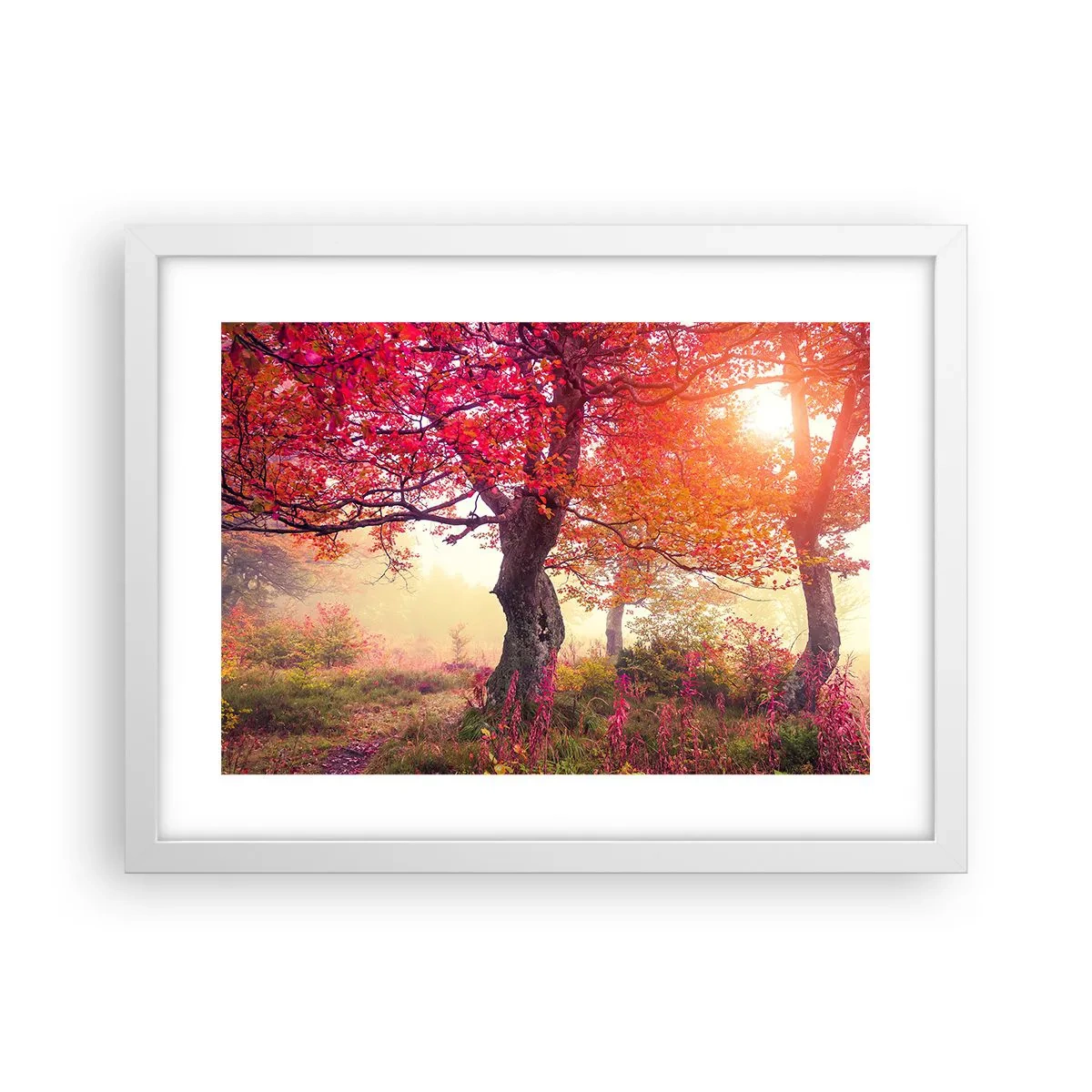 Poster in cornice bianca - L'esplosione della fioritura - 40x30 cm