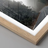Rovere chiaro