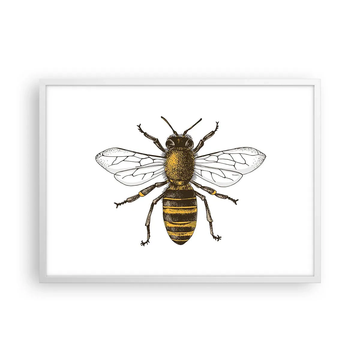 Poster in cornice bianca - Bella e buona - 70x50 cm