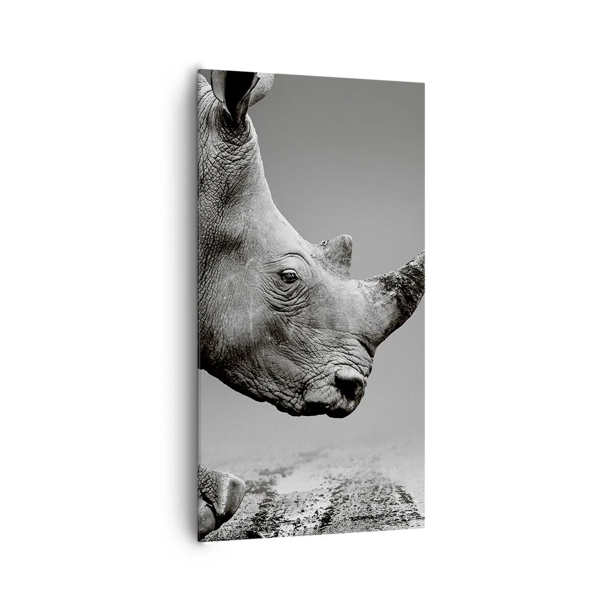 Quadro su tela - Stampe su Tela - Forza irrefrenabile - 65x120 cm