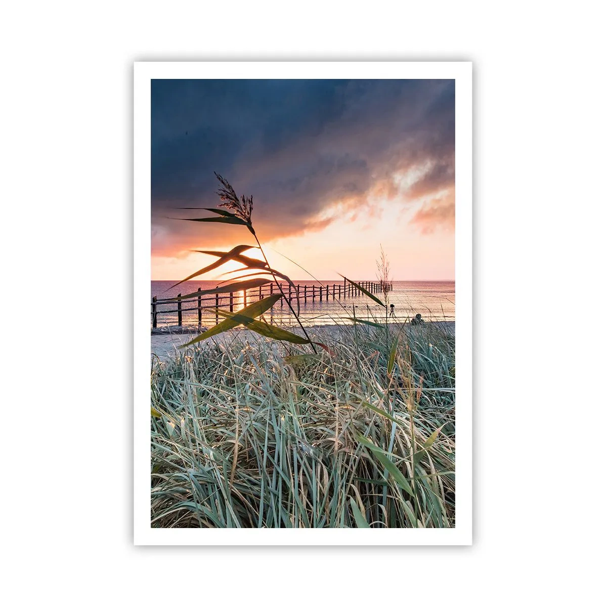 Poster - Non andrà via col vento - 70x100 cm