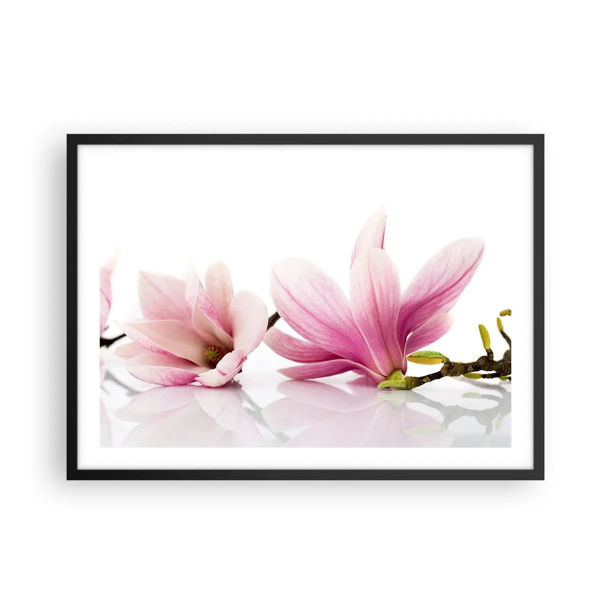Poster in cornice nera - Delicate magnolie rosa su sfondo bianco - 70x50cm - Delicati come un soffio di primavera - Decorazione murale moderna per soggiorno e camera da letto ARTTOR