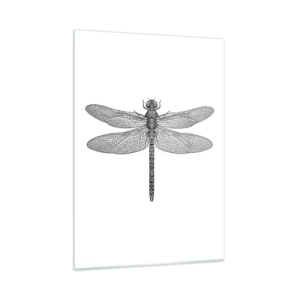 Quadro su vetro - Illustrazione dettagliata di una libellula in stile incisione su sfondo bianco - 50x70cm - La precisione della natura - Decorazione murale moderna per soggiorno e camera da letto ARTTOR