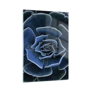 Quadro su vetro - Macrofotografia di una succulenta nelle tonalità del blu freddo - 50x70cm - Fiore del deserto - Decorazione murale moderna per soggiorno e camera da letto ARTTOR