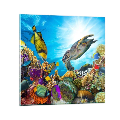Quadro su vetro - Passeggiata corallina - 70x70 cm