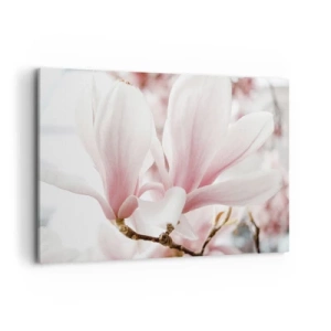 Quadro su tela - Stampe su Tela - Delicati fiori di magnolia in tonalità pastello - 120x80cm - Tenerezza senza fine - Decorazione murale moderna per soggiorno e camera da letto ARTTOR