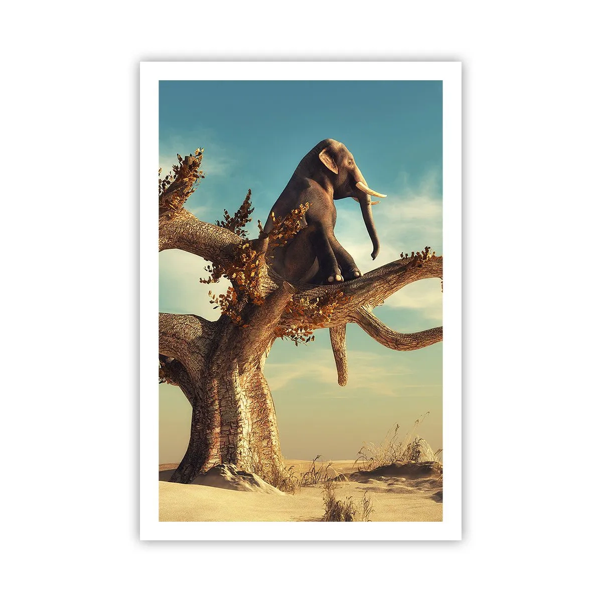 Poster - Nuovo punto di vista - 61x91 cm