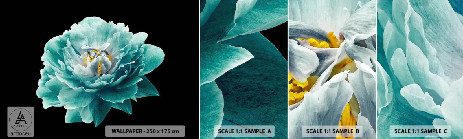 Campione Di Fotomurale Standard Eco - Petali blu e oro - Fiore, Fioritura, Peonia - 100x30 cm