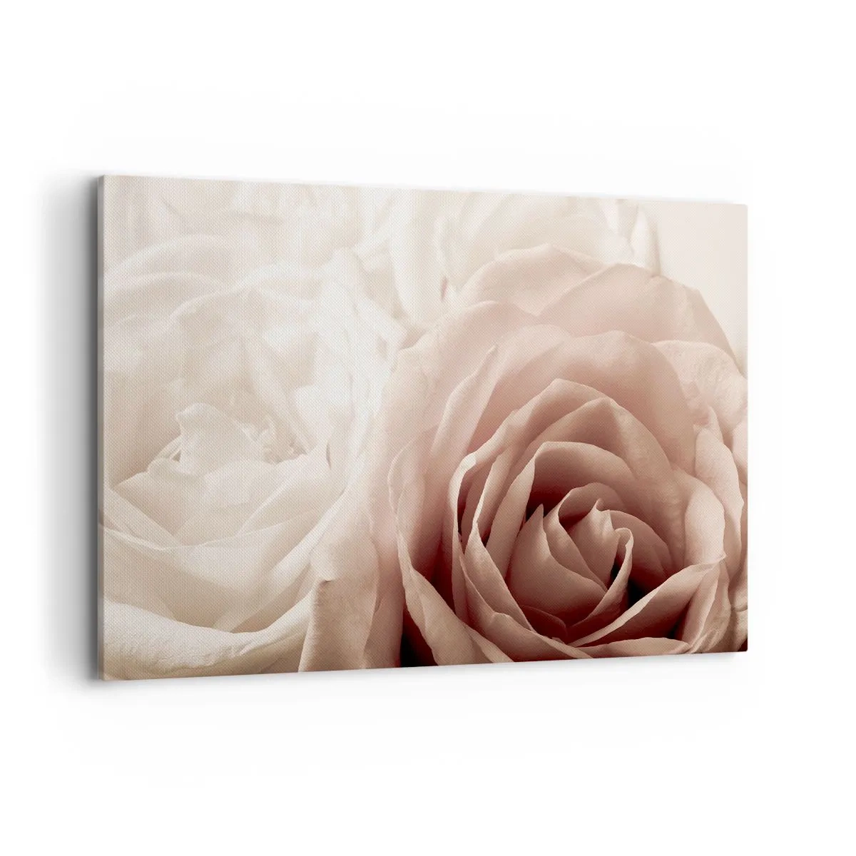 Quadro su tela - Stampe su Tela - Delicate rose in tonalità pastello del beige - 100x70cm - Nel cuore della rosa - Decorazione murale moderna per soggiorno e camera da letto ARTTOR