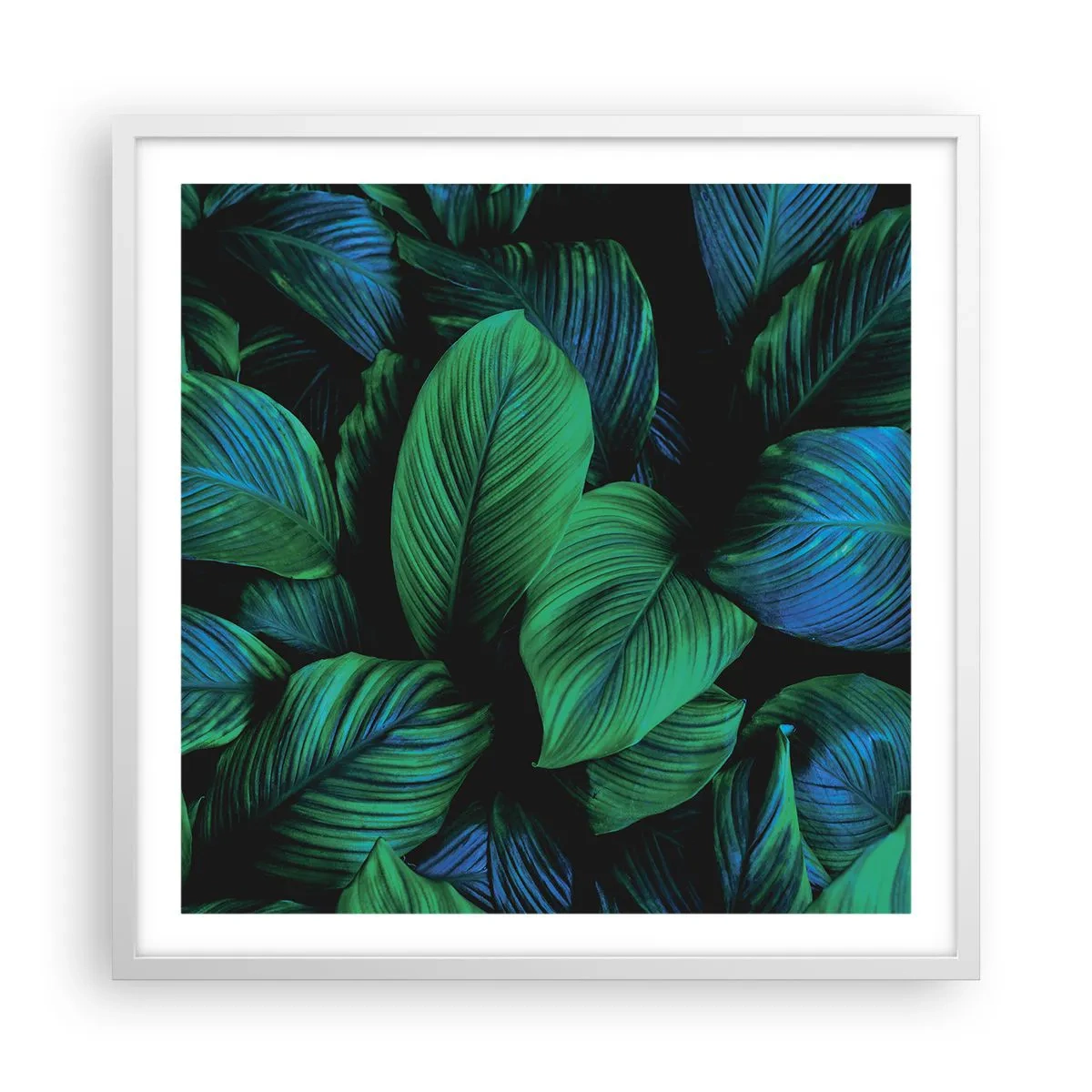 Poster in cornice bianca - Nella folla verde - 60x60 cm