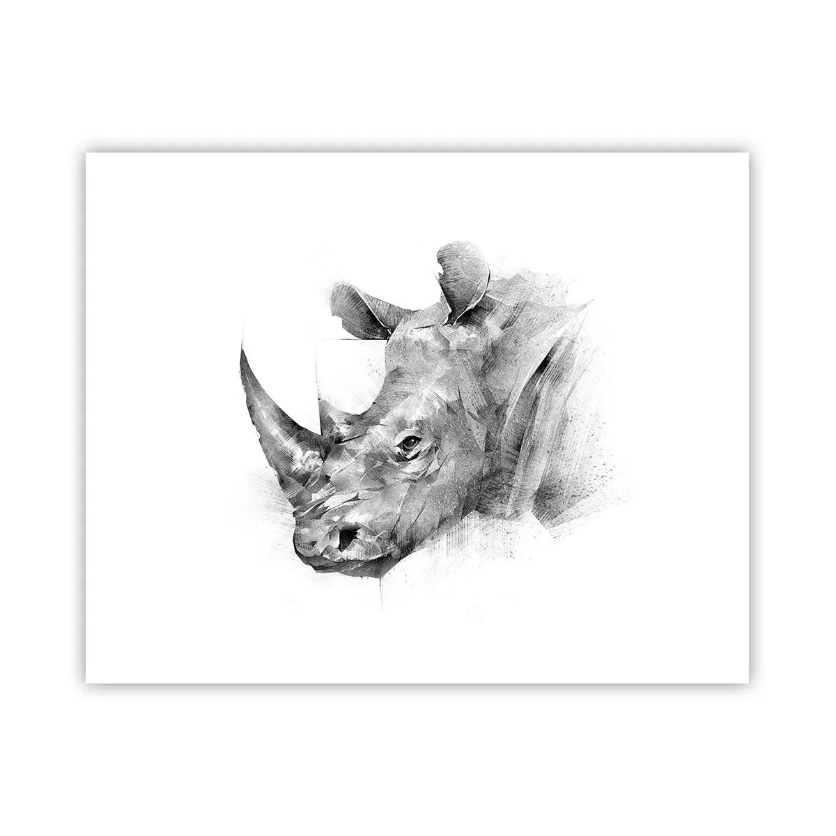 Poster - Ritratto africano - 50x40 cm