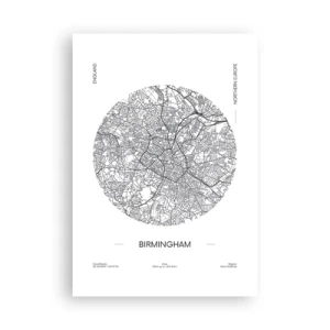 Poster - Anatomia di Birmingham - 70x100 cm