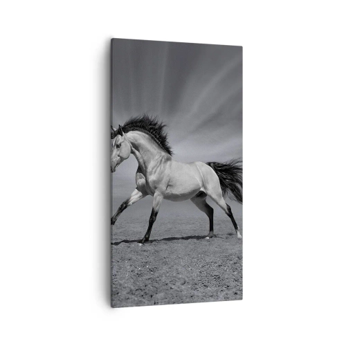 Quadro su tela - Stampe su Tela - Nato per affascinare - 55x100 cm