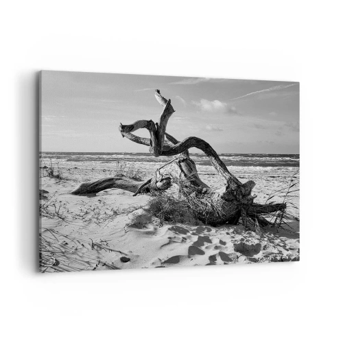 Quadro su tela - Stampe su Tela - Paesaggio in bianco e nero con un albero morto sulla spiaggia - 100x70cm - Scolpito dal mare - Decorazione murale moderna per soggiorno e camera da letto ARTTOR
