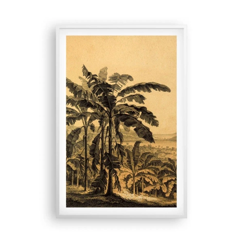 Poster in cornice bianca - Nel clima coloniale - 61x91 cm