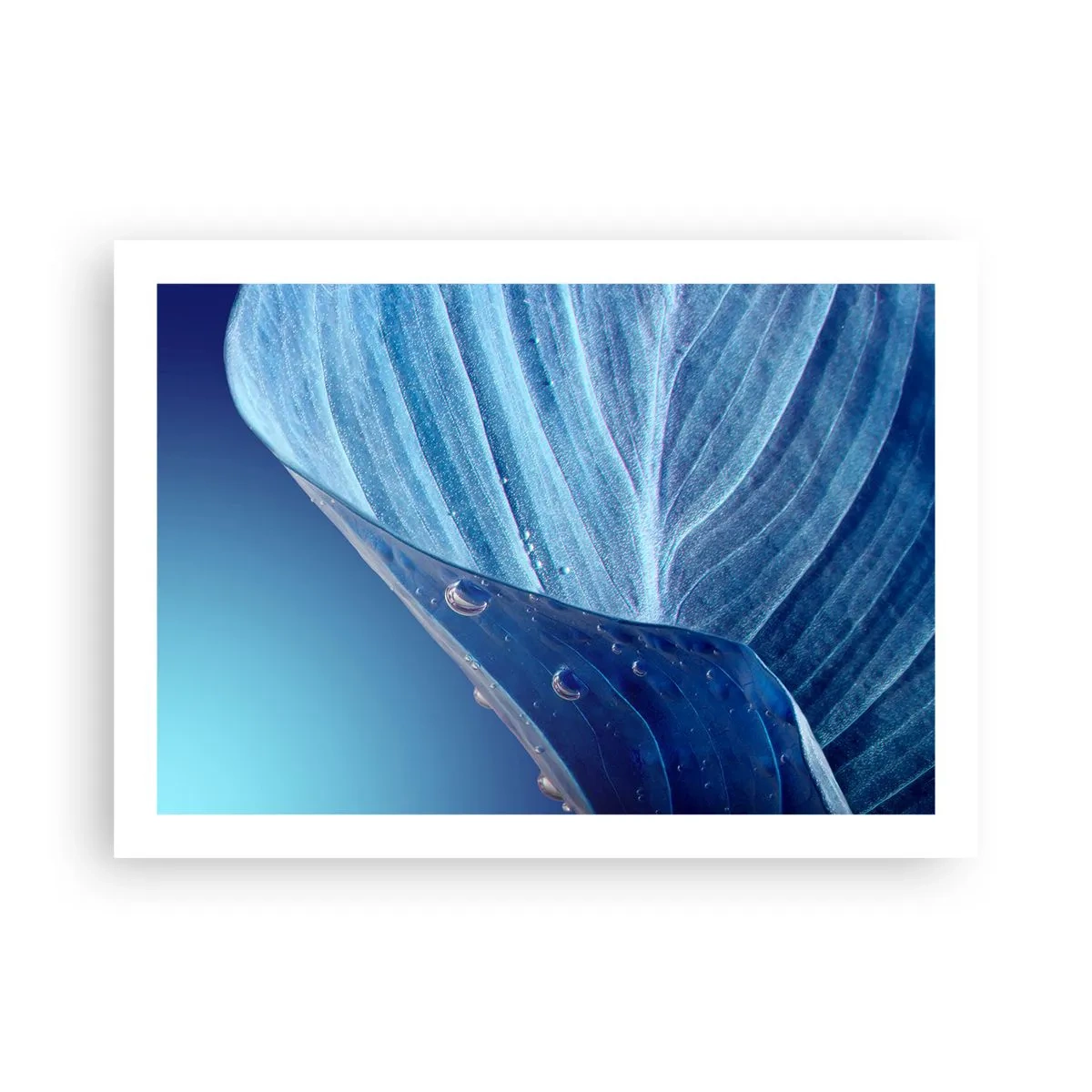 Poster - Gocce di blu nascoste - 70x50 cm