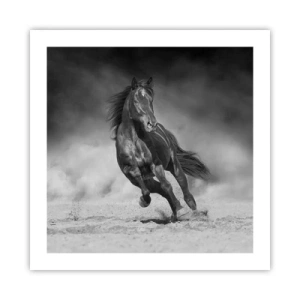 Poster - Degno dell'emiro - 50x50 cm