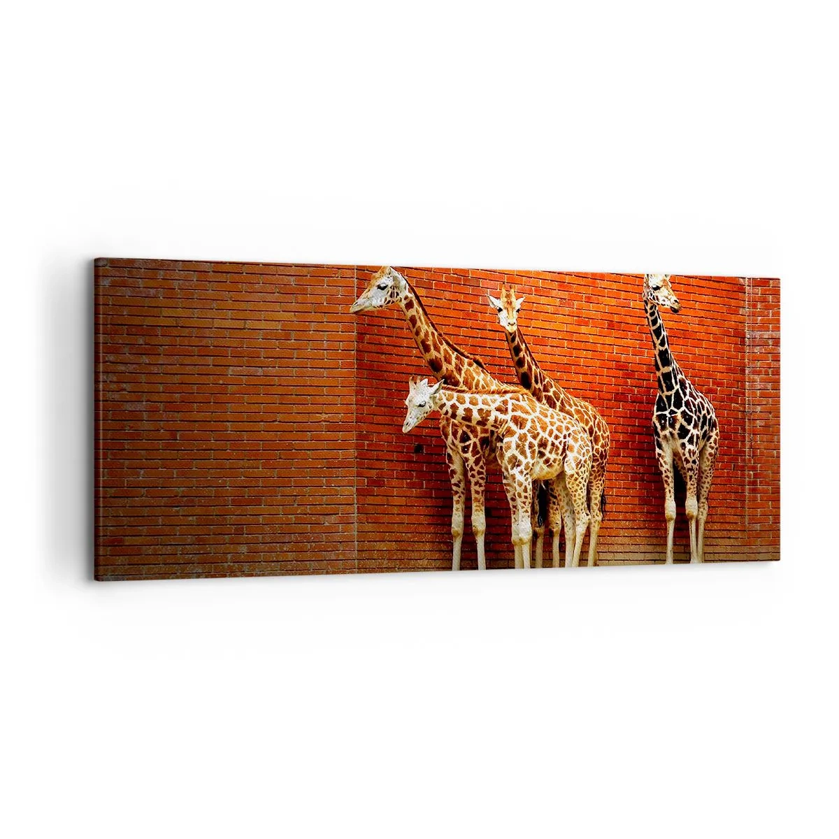 Quadro su tela - Stampe su Tela - Quattro giraffe contro un muro di mattoni in un ambiente artistico - 120x50cm - Vedete qualche acacia? - Decorazione murale moderna per soggiorno e camera da letto ARTTOR