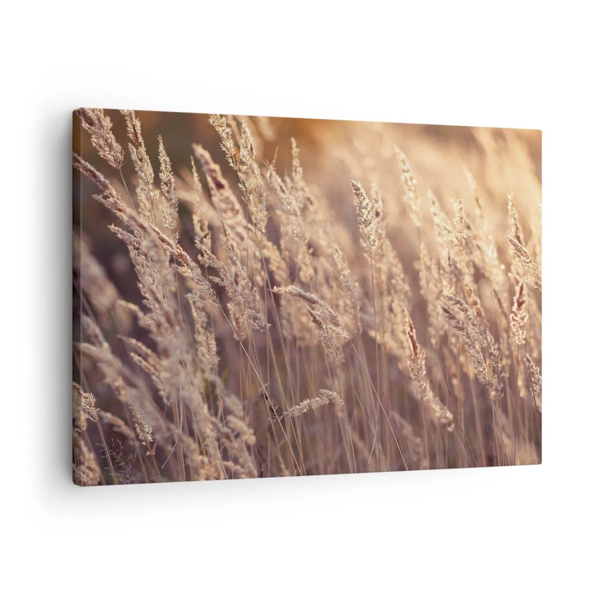 Quadro su tela - Stampe su Tela - Pronti a salutare l'autunno - 70x50 cm