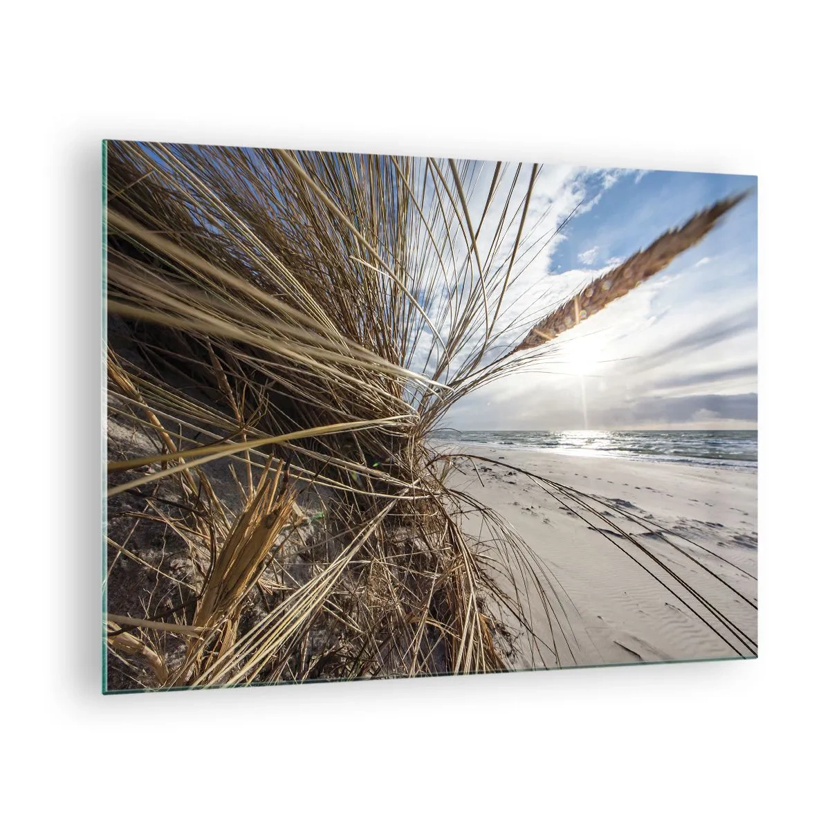 Quadro su vetro - Erba dorata sullo sfondo di una spiaggia sabbiosa e del mare - 70x50cm - L'incontro degli elementi - Decorazione murale moderna per soggiorno e camera da letto ARTTOR
