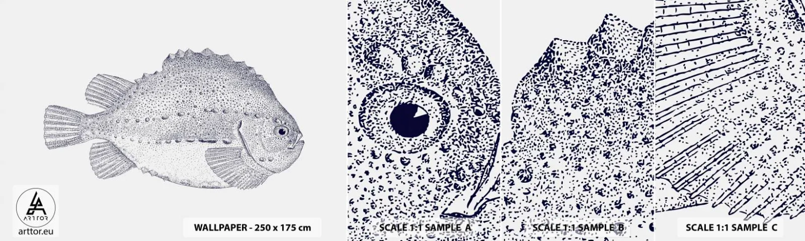 Campione di Fotomurale Adesivo Deluxe Sticker - Nell'album del naturalista - Pescare, Marittimo, Oceano - 100x30 cm