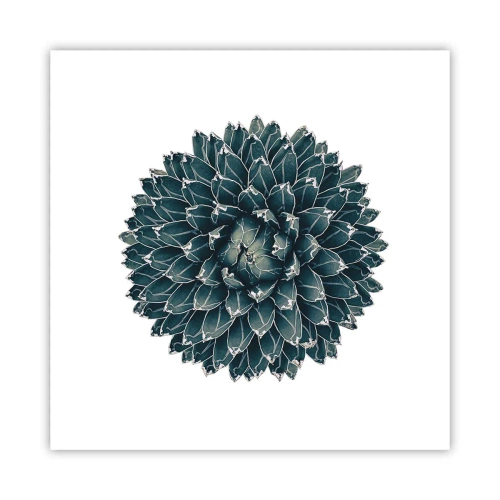 Poster - La stella del deserto - 40x40 cm