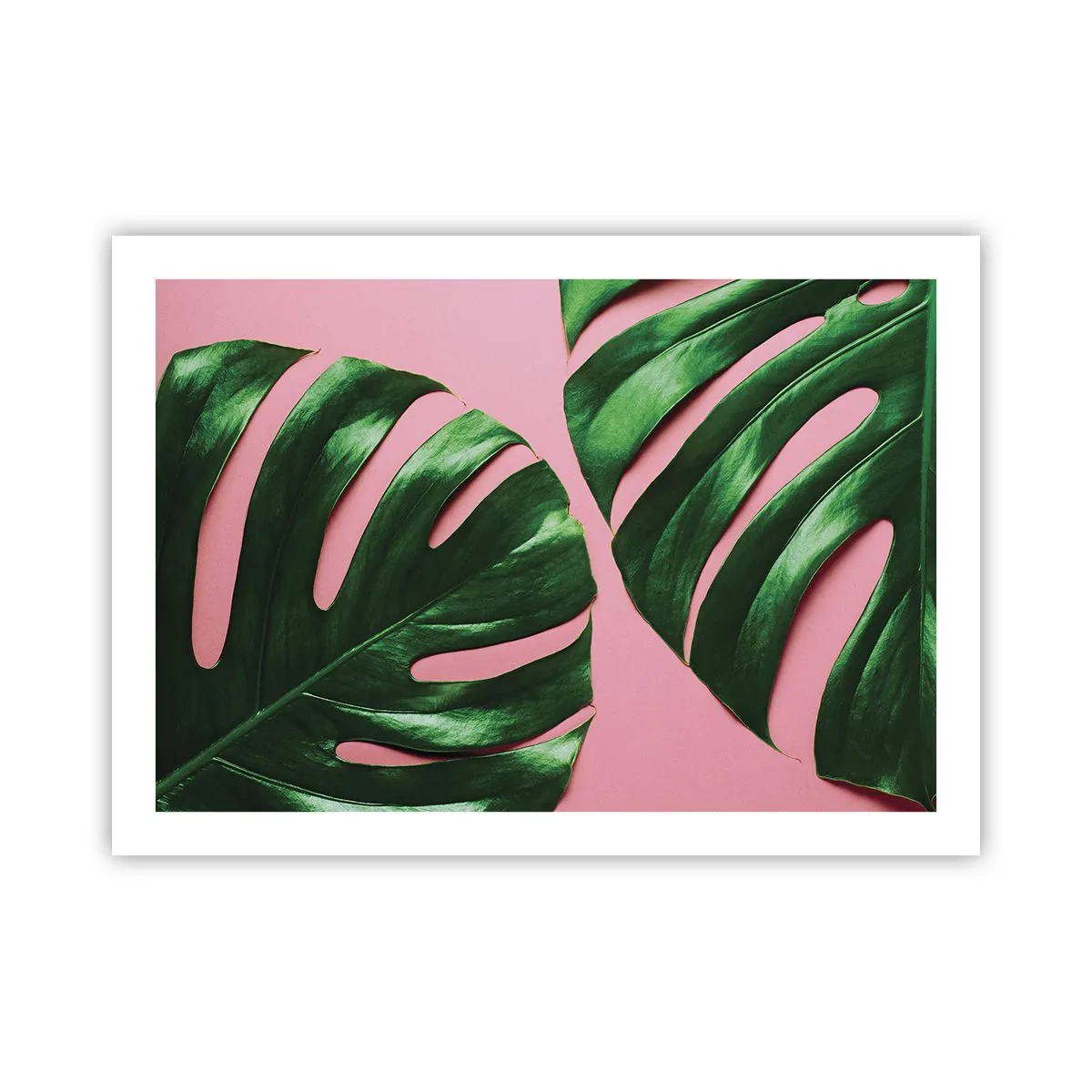 Poster - Appuntamento in verde - 70x50 cm