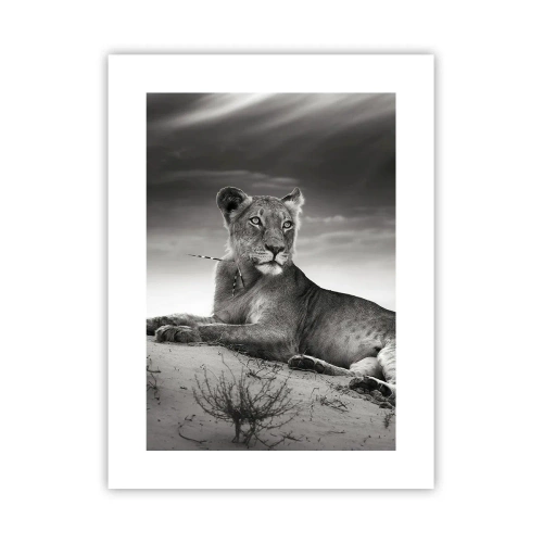 Poster - Il riposo della regina del deserto - 30x40 cm