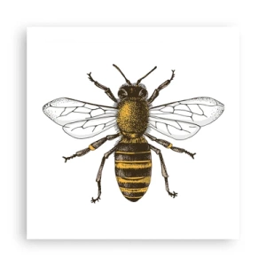 Poster - Bella e buona - 50x50 cm