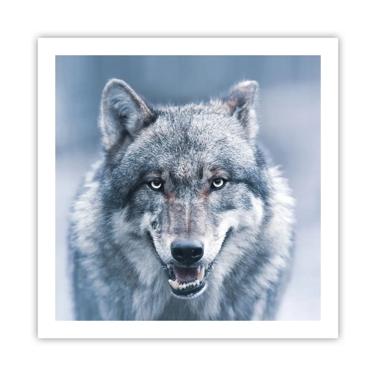 Poster - Accetti la sfida? - 60x60 cm