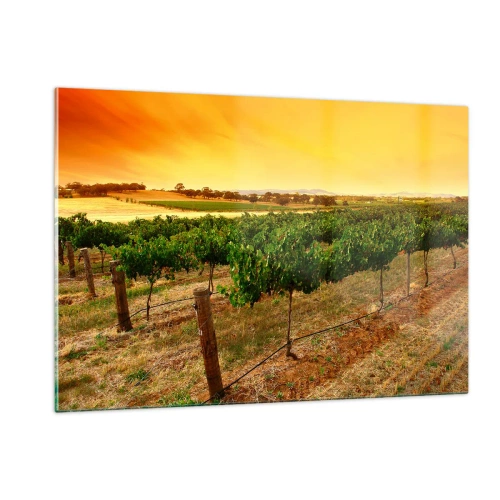 Quadro su vetro - Viti nella calda luce del sole al tramonto - 120x80cm - Ubriacarsi di sole - Decorazione murale moderna per soggiorno e camera da letto ARTTOR
