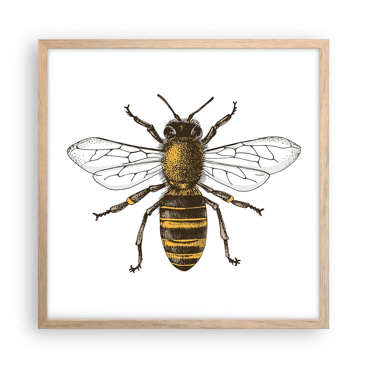 Poster in cornice rovere chiaro - Bella e buona - 50x50 cm