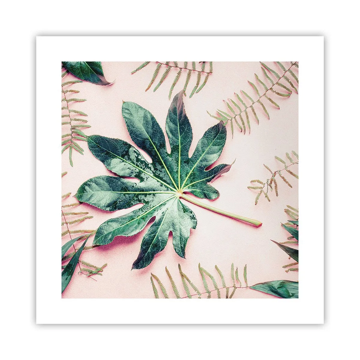 Poster - Studio di verde su sfondo rosa - 40x40 cm