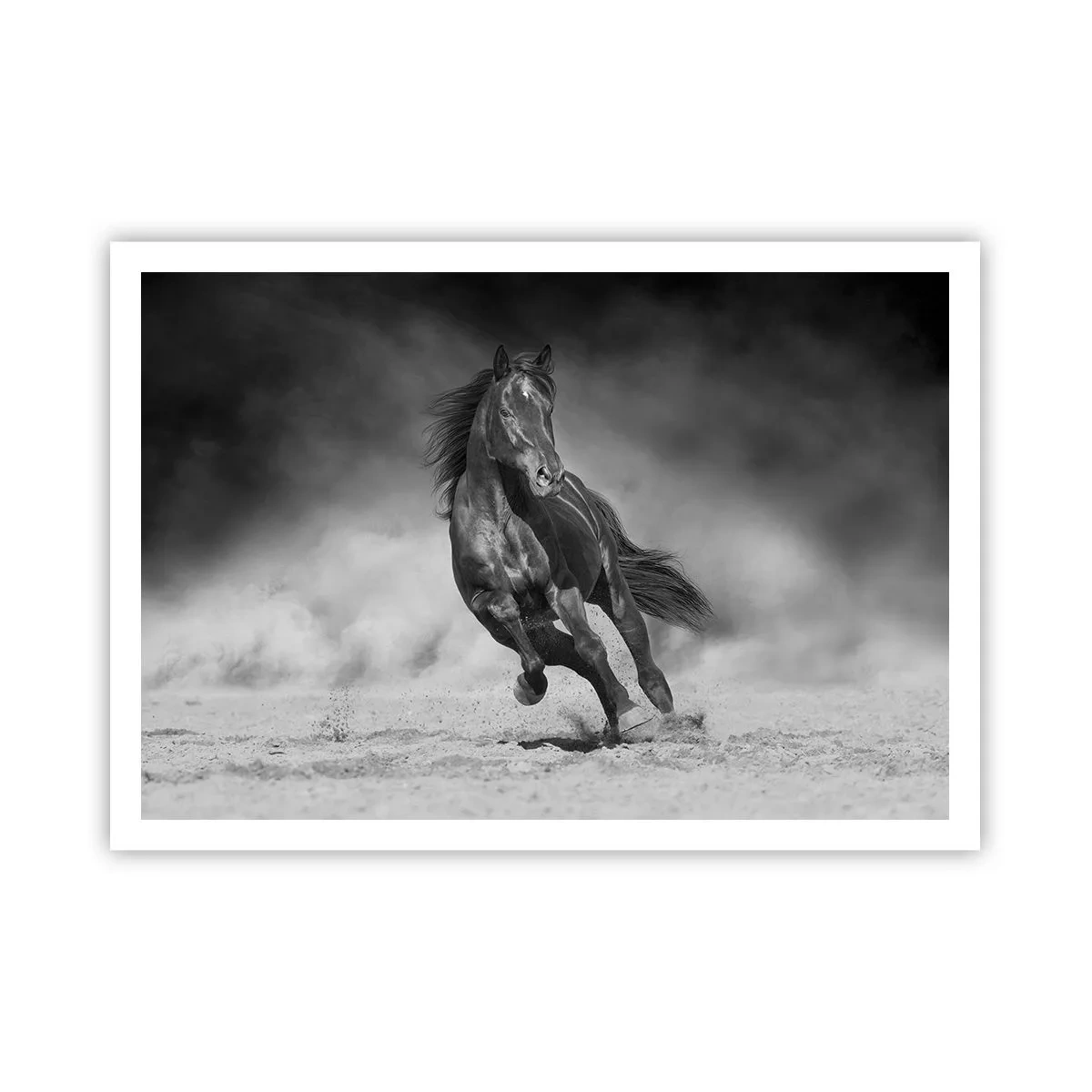 Poster - Un cavallo bianco e nero che galoppa sulla sabbia - 100x70cm - Degno dell'emiro - Decorazione murale moderna per soggiorno e camera da letto ARTTOR