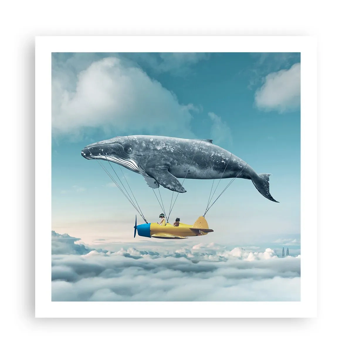 Poster - Perché no? - 60x60 cm