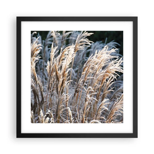 Poster in cornice nera - Vestite di brina - 40x40 cm