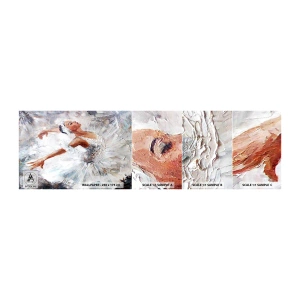 Campione Di Fotomurale Standard Eco - Delicata e leggera come il tulle - Ballerina, Danza, Balletto - 100x30 cm