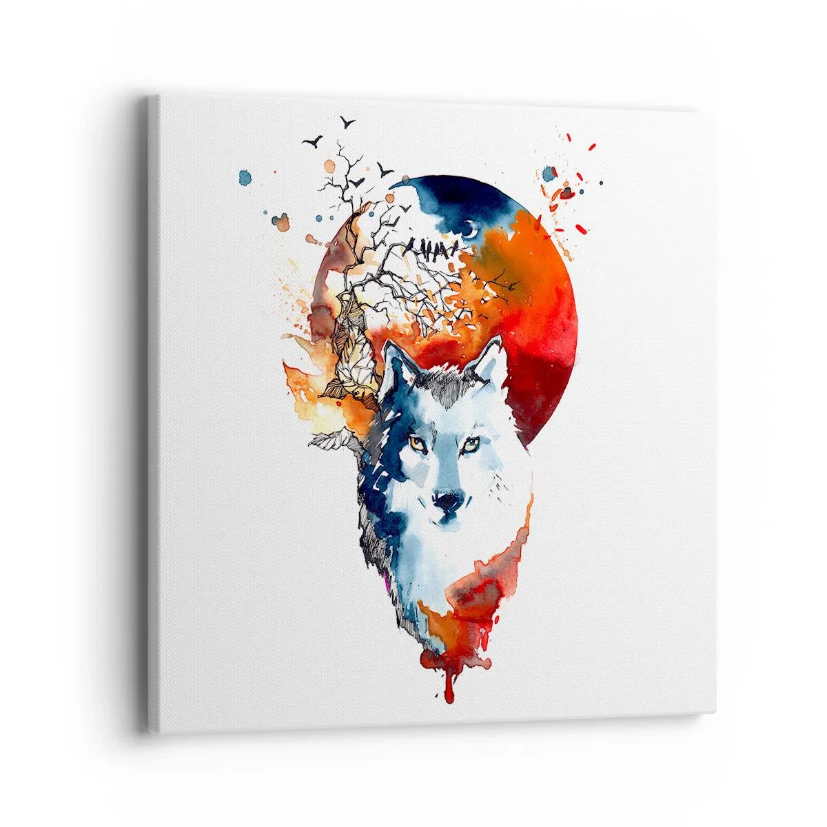 Quadro su tela - Stampe su Tela - Naso a naso con la notte - 40x40 cm