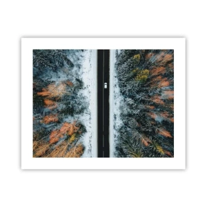 Poster - Tagliando la foresta invernale - 50x40 cm