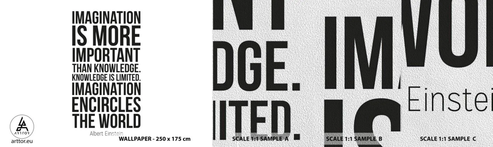 Campione di Fotomurale Premium Sand - Einstein sul potere dell'immaginazione - Tipografia, Affermazione, Massima - 100x30 cm