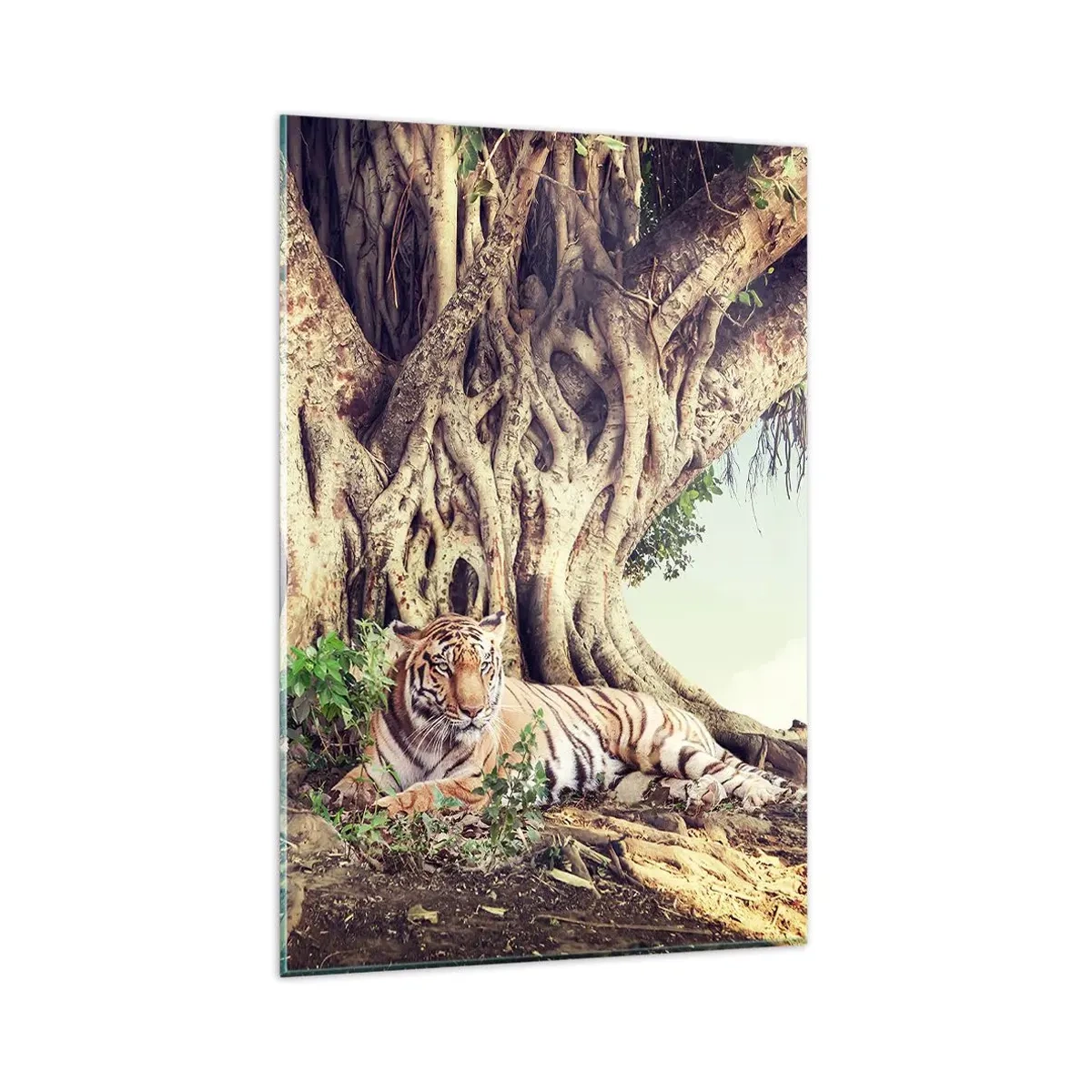 Quadro su vetro - Una tigre che riposa sotto un albero che si estende - 80x120cm - Vista dal Libro della Genesi - Decorazione murale moderna per soggiorno e camera da letto ARTTOR