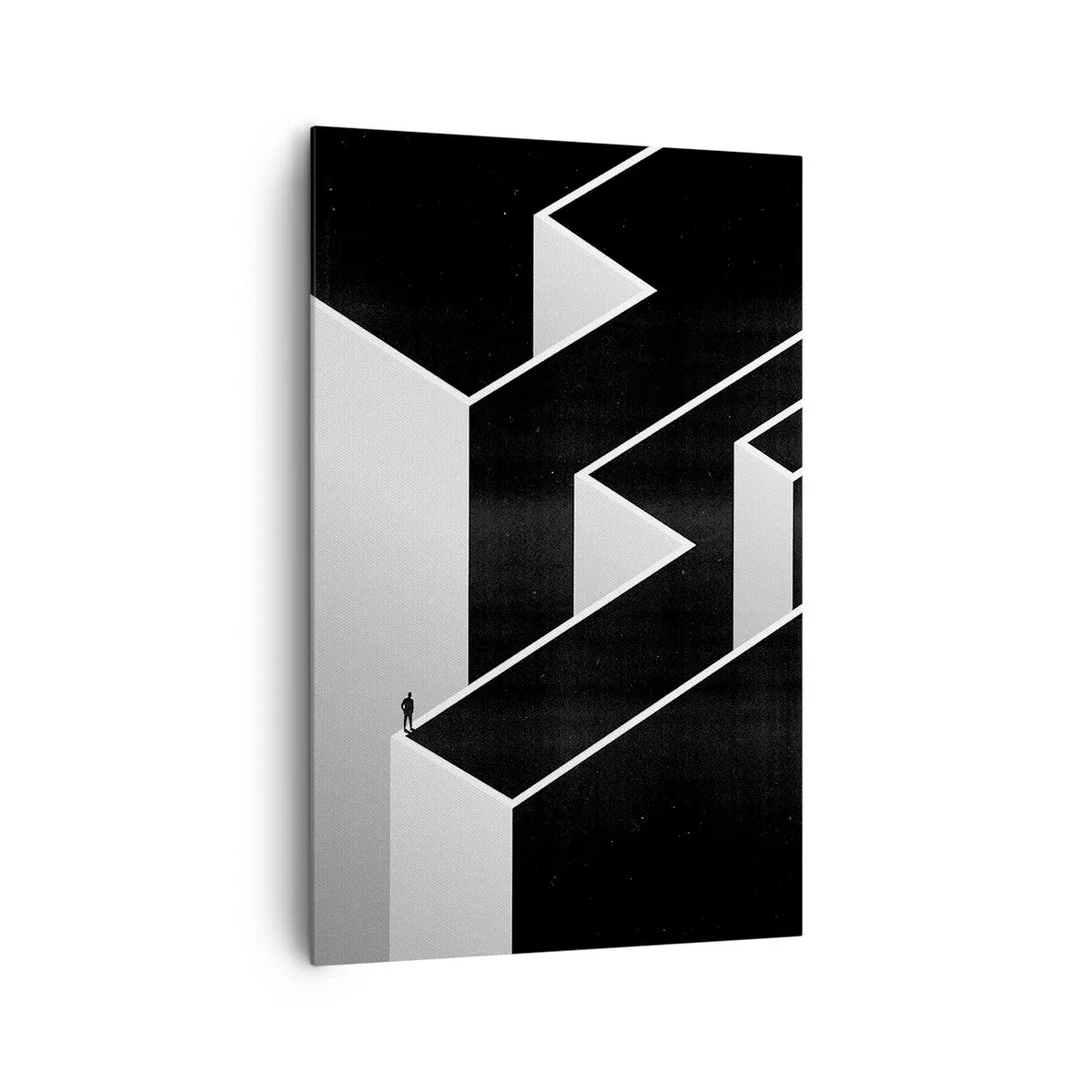 Quadro su tela - Stampe su Tela - Solitudine al vertice - 80x120 cm