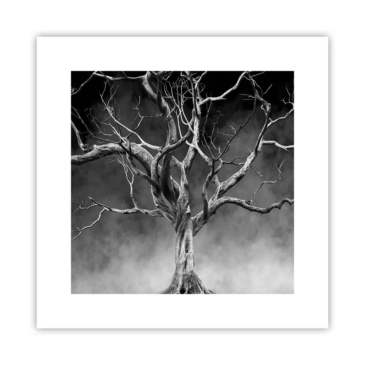 Poster - Primordiale e sacro - 30x30 cm