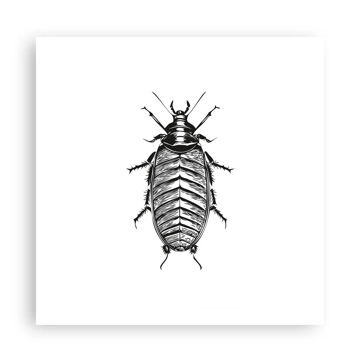 Poster - Che esemplare! - 60x60 cm