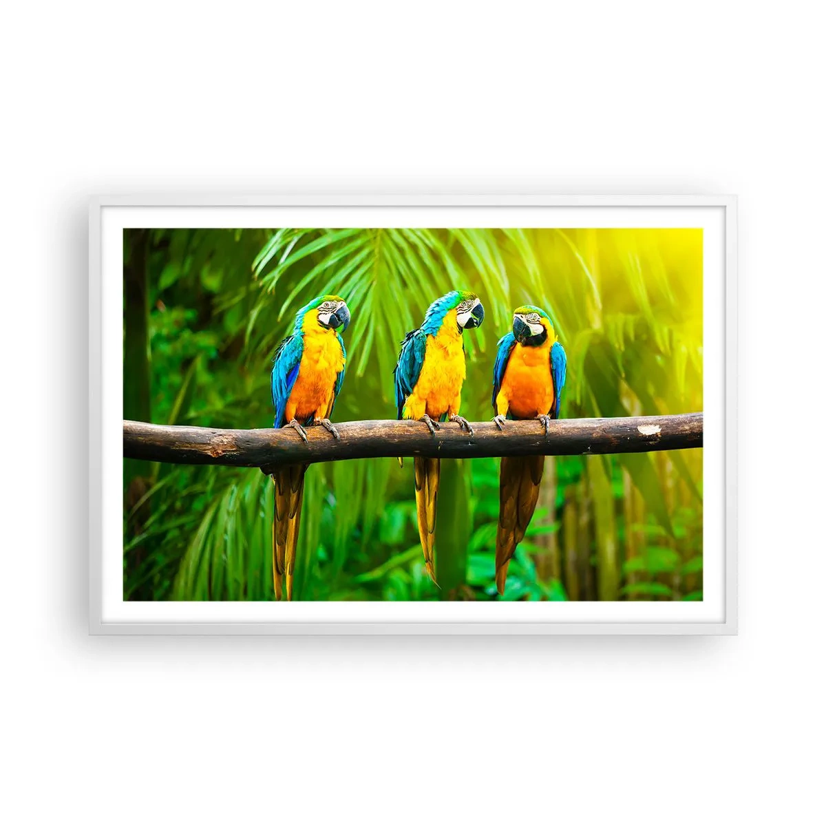 Poster in cornice bianca - Hai sentito che ha fatto? - 91x61 cm