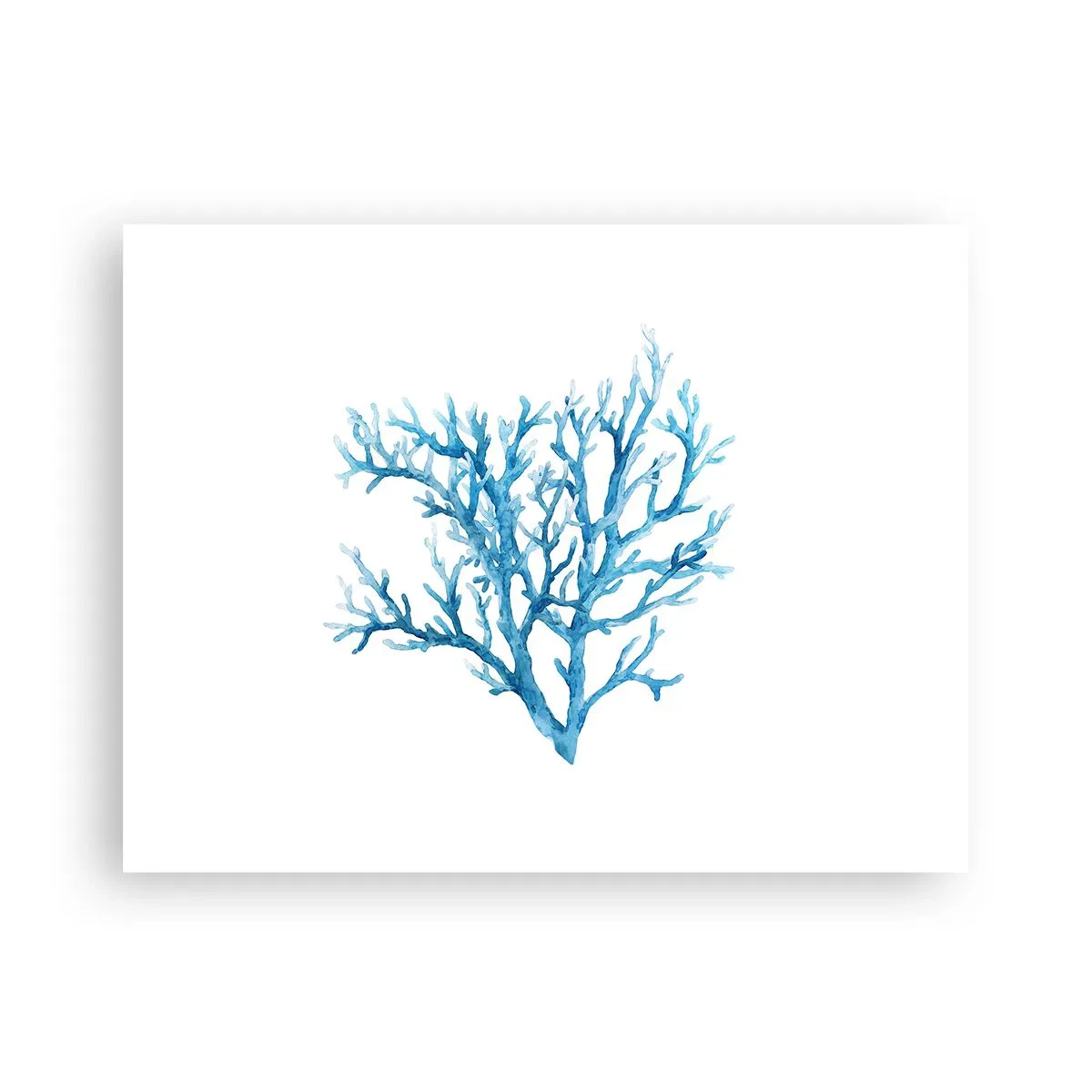 Poster - Filigrana marina - 40x30 cm