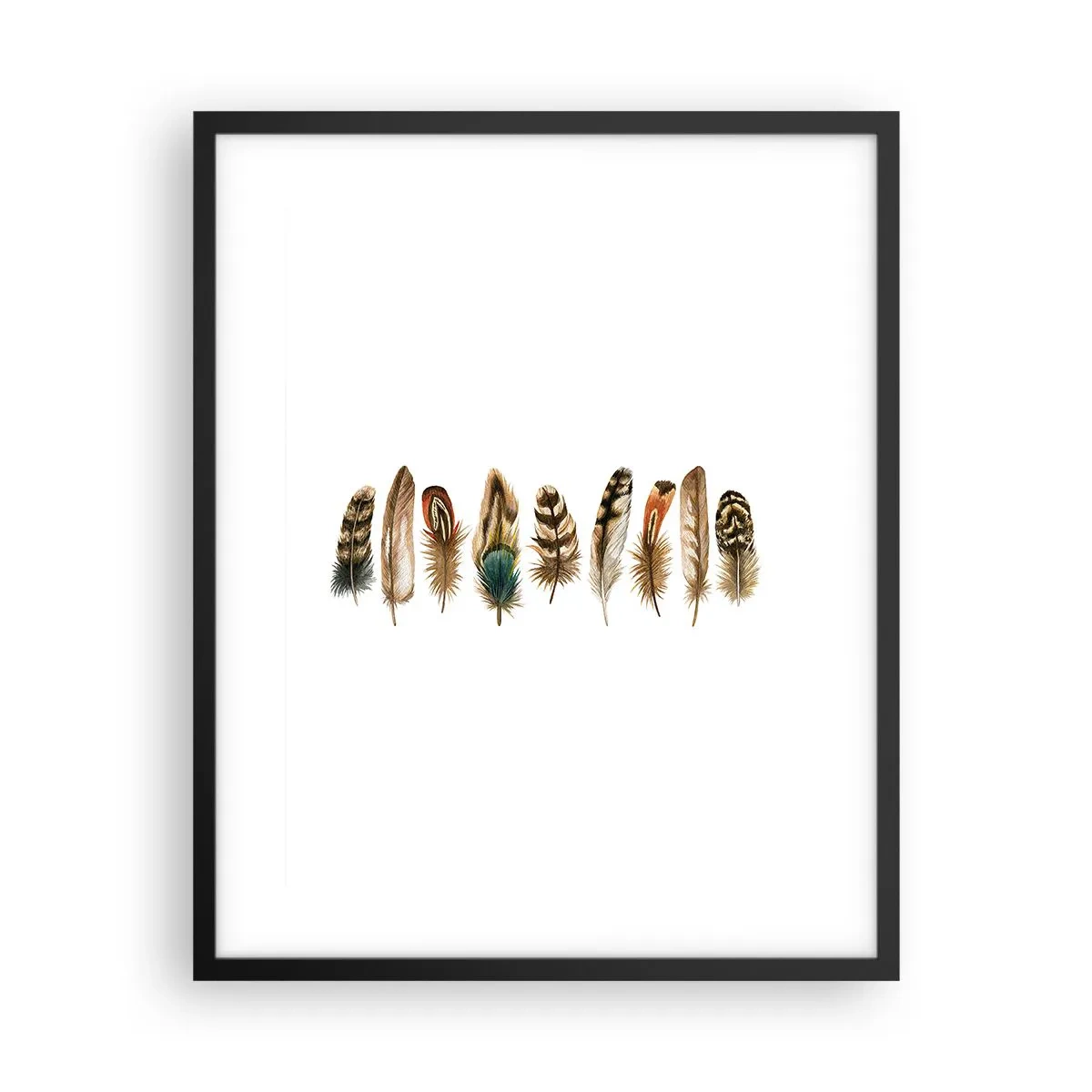 Poster in cornice nera - Composizione di piume - 40x50 cm